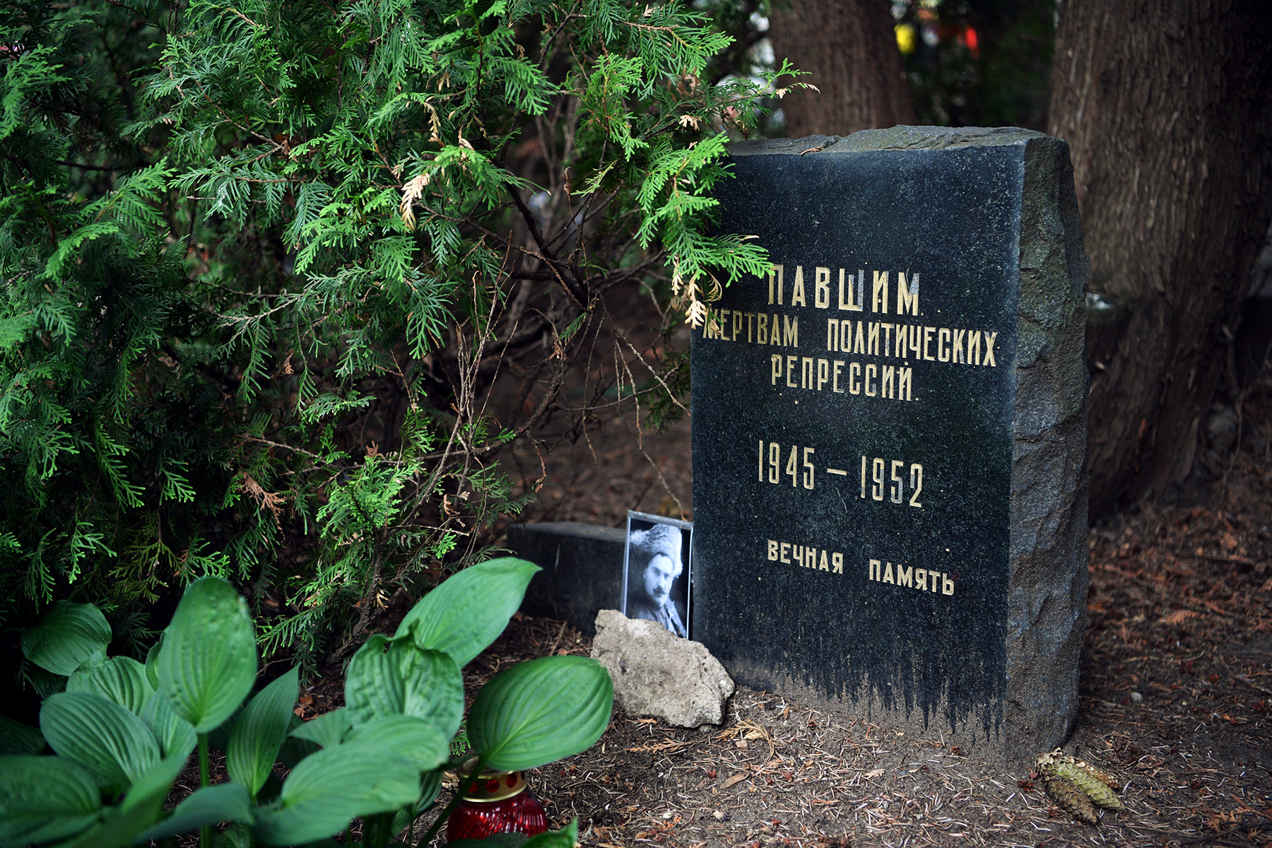 Галерея хроники
