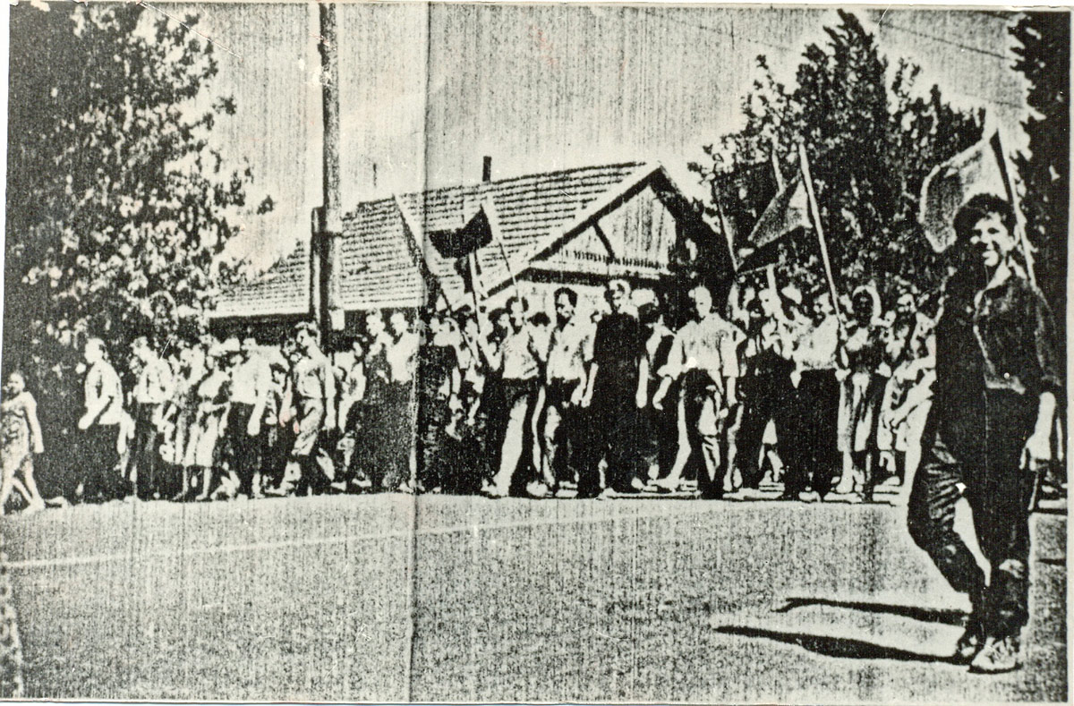Галерея хроники